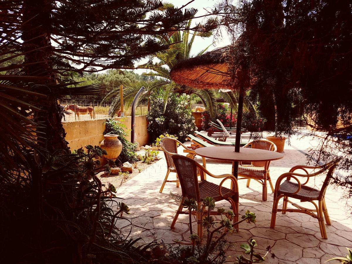Finca Caballo Blanco Guest house Montuiri (Mallorca)
